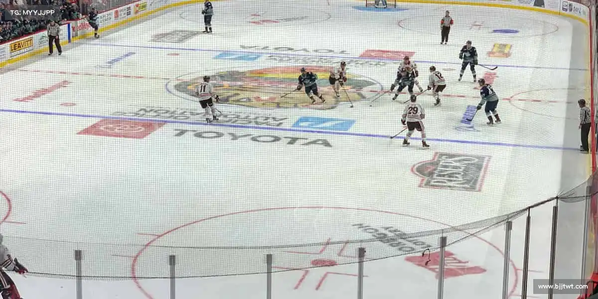 行业领先的理由